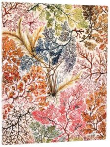 51fb5a0e0796569d020131b776148575