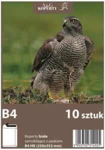 82723a68cb0eecc2b646013f36013cbf