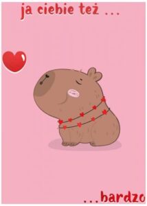 aa02448157aeea72e4af0504b0f64016